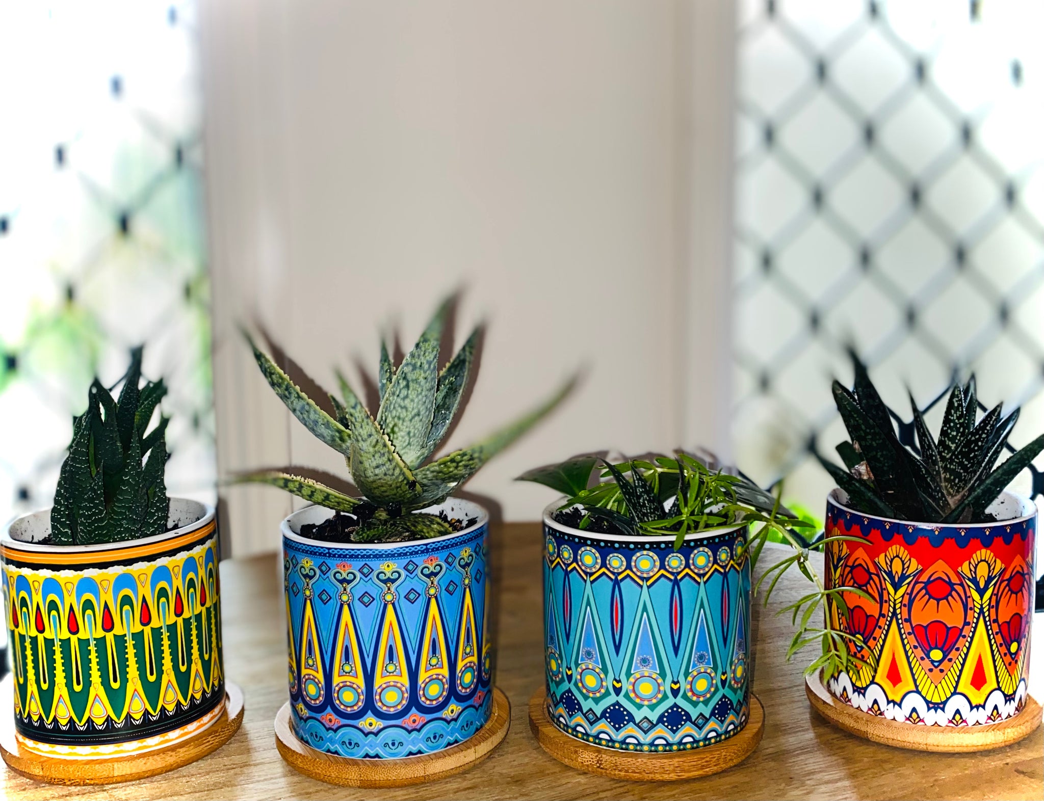Mandela Succulent pots (set of 4)